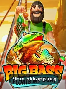 9bm tela de acesso